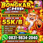 thumbnail-khusus-terima-bongkar-chip-domino-island-higgs-buka-24jam-wa0831-9834-2040-0