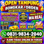 thumbnail-terima-bongkar-chip-hdi-higgs-domino-island-dan-royal-dream-wa-0831-9834-2040-0