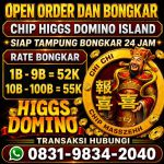 thumbnail-terima-bongkar-chip-hdi-higgs-domino-island-jual-beli-chip-hdi-wa-083198342040-0
