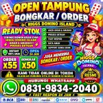 thumbnail-terima-bongkar-chip-hdi-higgs-domino-island-dan-royal-dream-wa-0831-9834-2040-0