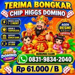 thumbnail-khusus-terima-bongkar-chip-domino-island-higgs-buka-24jam-wa0831-9834-2040-0