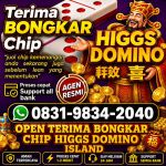 thumbnail-terima-bongkar-chip-hdi-higgs-domino-island-jual-beli-chip-hdi-wa-083198342040-0