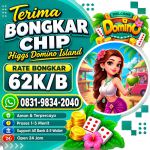 thumbnail-khusus-terima-bongkar-chip-domino-island-higgs-buka-24jam-wa0831-9834-2040-0