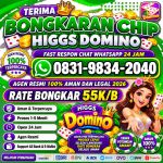 thumbnail-terima-bongkar-chip-hdi-higgs-domino-island-jual-beli-chip-hdi-wa-083198342040-0