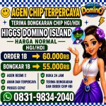 thumbnail-terima-bongkar-chip-hdi-higgs-domino-island-jual-beli-chip-hdi-wa-083198342040-0