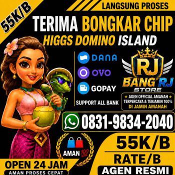 TERIMA BONGKAR CHIP HDI HIGGS DOMINO ISLAND JUAL BELI CHIP HDI WA 083198342040