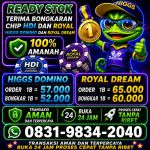 thumbnail-terima-bongkar-chip-hdi-higgs-domino-island-dan-royal-dream-wa-0831-9834-2040-0