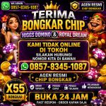 thumbnail-terima-bongkaran-chip-domino-island-higgs-royal-dream-wa0857-8345-1087-0