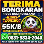 thumbnail-khusus-terima-bongkar-chip-domino-island-higgs-buka-24jam-wa0831-9834-2040-0