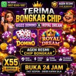 thumbnail-terima-bongkaran-chip-domino-island-higgs-royal-dream-aman-wa0857-8345-1087-0