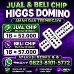 thumbnail-terima-bongkar-chip-hdi-higgs-domino-0