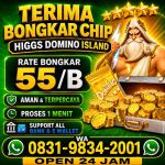 thumbnail-terima-bongkaran-chip-higgs-domino-island-amanah-dan-terpercaya-wa-083198342001-0