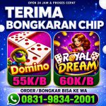 thumbnail-terima-bongkar-chip-hdi-higgs-domino-island-dan-royal-dream-wa-0831-9834-2001-0