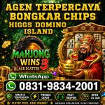 thumbnail-khusus-terima-bongkar-chip-domino-island-higgs-buka-24jam-wa0831-9834-2001-0