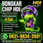 thumbnail-terima-bongkar-chip-hdi-higgs-domino-island-jual-beli-chip-hdi-wa-083198342001-0