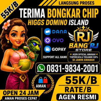 TERIMA BONGKAR CHIP HDI HIGGS DOMINO ISLAND JUAL BELI CHIP HDI WA 083198342001