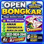 thumbnail-khusus-terima-bongkar-chip-domino-island-higgs-buka-24jam-wa0831-9834-2040-0