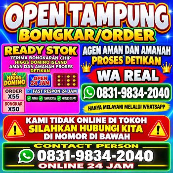 TERIMA BONGKAR CHIP HDI HIGGS DOMINO ISLAND DAN ROYAL DREAM WA 0831-9834-2040