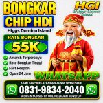 thumbnail-khusus-terima-bongkar-chip-domino-island-higgs-buka-24jam-wa0831-9834-2040-0