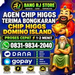 thumbnail-terima-bongkar-chip-hdi-higgs-domino-island-jual-beli-chip-hdi-wa-083198342040-0