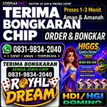 thumbnail-terima-bongkar-chip-hdi-higgs-domino-island-dan-royal-dream-wa-0831-9834-2040-0