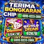 thumbnail-agen-terima-bongkar-chip-higgs-domino-island-amanah-dan-terpercaya-open-24-jam-0