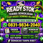 thumbnail-khusus-terima-bongkar-chip-domino-island-higgs-buka-24jam-wa0831-9834-2040-0