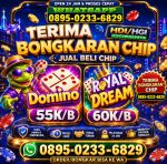 thumbnail-terima-bongkar-chip-hdi-higgs-domino-island-jual-beli-chip-hdi-wa-089502336829-0