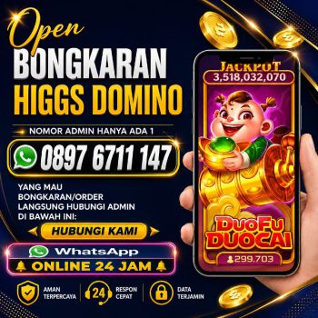 Terima bongkaran chip higgs domino island aman dan terpercaya