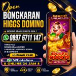 thumbnail-terima-bongkaran-chip-higgs-domino-island-aman-dan-terpercaya-0