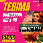 thumbnail-agen-terima-bongkaran-chip-hdi-dan-rd-aman-dan-amanah-0