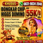 thumbnail-khusus-terima-bongkar-chip-domino-island-higgs-buka-24jam-wa0831-9834-2040-0