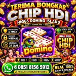 thumbnail-khusus-terima-bongkar-chip-domino-island-higgs-buka-24jam-wa0851-8156-5912-0