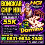 thumbnail-terima-bongkaran-chip-higgs-domino-island-amanah-dan-terpercaya-wa-083198342040-0