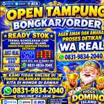 thumbnail-terima-bongkar-chip-hdi-higgs-domino-island-jual-beli-chip-hdi-wa-083198342040-0