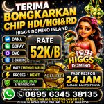 thumbnail-terima-bongkar-chip-domino-island-chip-lainnya-buka-24jam-wa0895-6345-38135-0