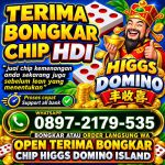 thumbnail-terima-bongkar-chip-domino-island-higgs-buka-24jam-0