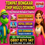thumbnail-terima-bongkaran-chip-higgs-domino-island-amanah-0