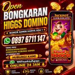thumbnail-agen-terima-bongkaran-chip-higgs-domino-island-amanah-0897-6711-147-0