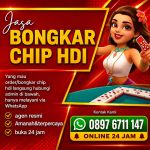 thumbnail-ready-stok-bongkaran-chip-higgs-domino-island-aman-dan-amanah-0