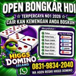 thumbnail-khusus-terima-bongkar-chip-domino-island-higgs-buka-24jam-wa0831-9834-2040-0