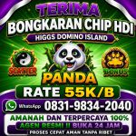 thumbnail-terima-bongkaran-chip-higgs-domino-island-amanah-dan-terpercaya-wa-083198342040-0