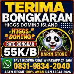thumbnail-khusus-terima-bongkar-chip-domino-island-higgs-buka-24jam-wa0831-9834-2040-0