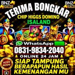 thumbnail-khusus-terima-bongkar-chip-domino-island-higgs-buka-24jam-wa0831-9834-2040-0