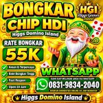 thumbnail-khusus-terima-bongkar-chip-domino-island-higgs-buka-24jam-wa0831-9834-2040-0