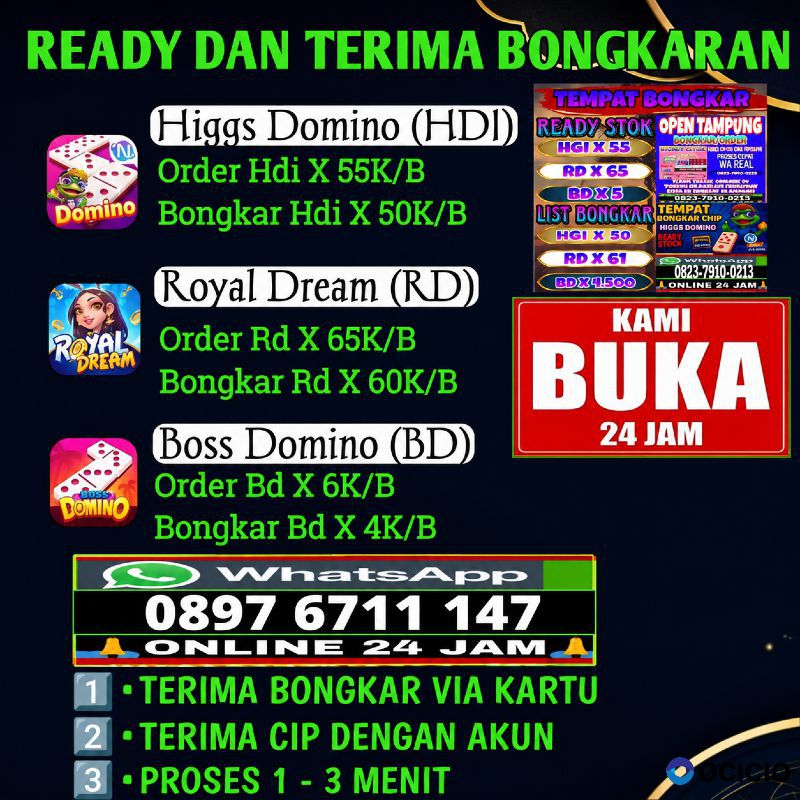 Terima bongkar chip Higgs domino island aman dan terpercaya 0897 6711 147