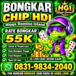thumbnail-khusus-terima-bongkar-chip-domino-island-higgs-buka-24jam-wa0831-9834-2040-0