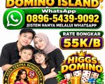 thumbnail-terima-bongkar-chip-higgs-domino-island-chip-hdi-wa-0896-5439-9092-0