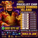 thumbnail-terima-bongkar-chip-higgs-domino-island-aman-dan-terpercaya-0897-6711-147-0