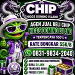thumbnail-terima-bongkar-chip-hdi-higgs-domino-island-dan-royal-dream-wa-0831-9834-2040-0